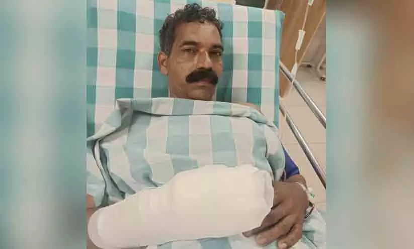 കാട്ടുപന്നി ആക്രമണത്തിൽ ഗൃഹനാഥന്  ഗുരുതര പരിക്ക്