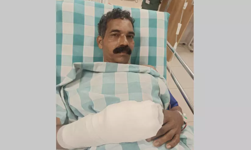 കാട്ടുപന്നി ആക്രമണത്തിൽ ഗൃഹനാഥന് ഗുരുതര പരിക്ക്