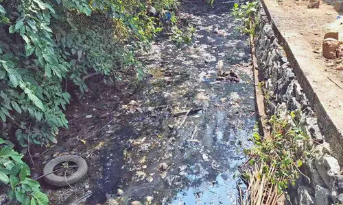 കരയാങ്കണ്ടി തോട്ടിൽ മാലിന്യക്കൂമ്പാരം; ദുരിതം പേറി കുടുംബങ്ങൾ കരയാങ്കണ്ടി തോട്ടിൽ മാലിന്യക്കൂമ്പാരം; ദുരിതം പേറി കുടുംബങ്ങൾ