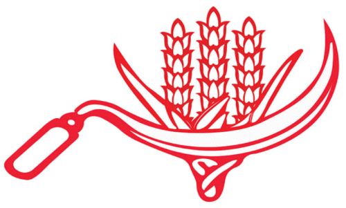 സി.പി.ഐയിൽ ചേരിതിരിവ് രൂക്ഷം; പ്രതിച്ഛായ നഷ്ടമെന്ന്​ വിമർശനം