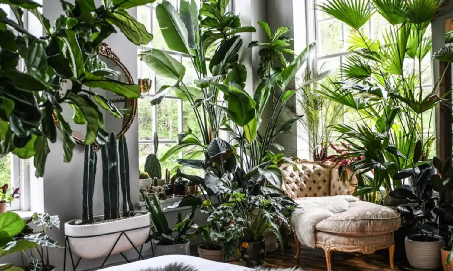 മെയ്ക് യുവർ ഹോം ഗ്രീൻ