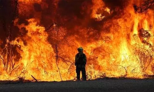 California Wildfires