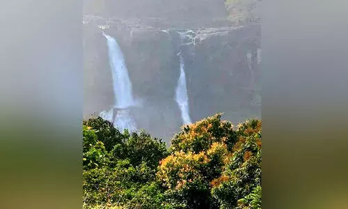 നീർച്ചാലായി, നിരാശയായി അതിരപ്പിള്ളി നീർച്ചാലായി, നിരാശയായി അതിരപ്പിള്ളി