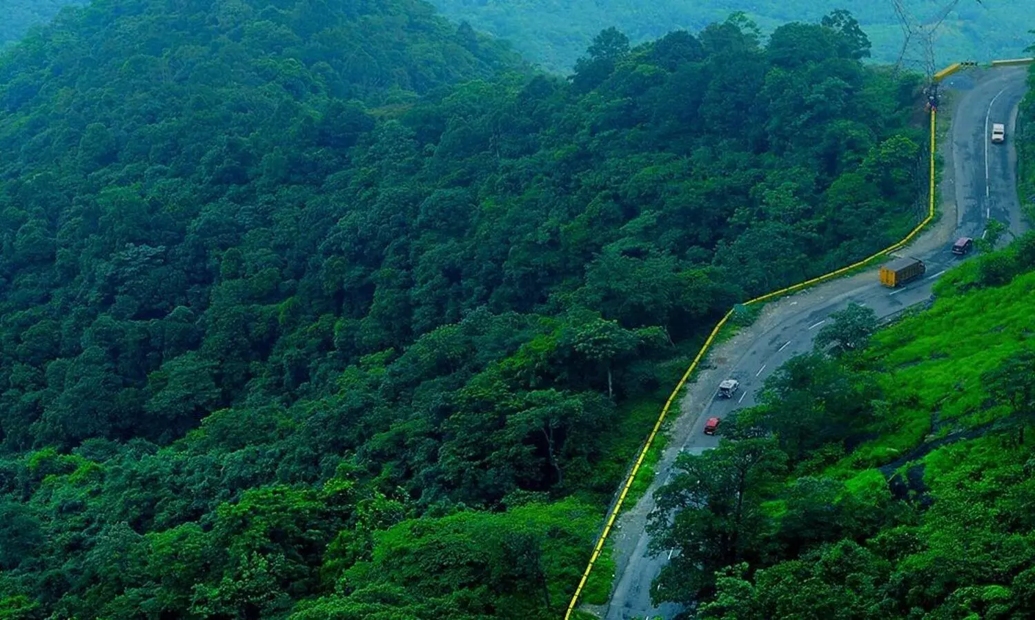 ‘വനമേഖലയിൽ അനാവശ്യ യാത്രകൾ ഒഴിവാക്കണം’; മന്ത്രി കേളുവിന്റെ പ്രസ്താവന സ്വാഗതം ചെയ്ത് പ്രകൃതി സംരക്ഷണ സമിതി