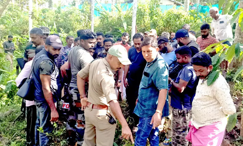 അടുത്തുണ്ട് കടുവ; തെർമ്മൽ ഡ്രോണിൽ കടുവയുടെ ദൃശ്യം പതിഞ്ഞു അടുത്തുണ്ട് കടുവ; തെർമ്മൽ ഡ്രോണിൽ കടുവയുടെ ദൃശ്യം പതിഞ്ഞു