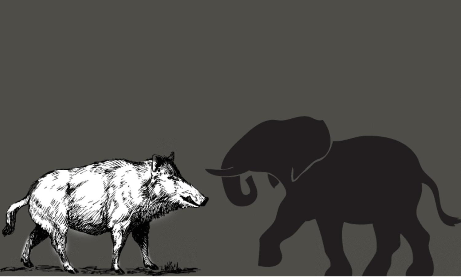 നാ​ട് കീ​ഴ​ട​ക്കി വ​ന്യ​മൃ​ഗ​ങ്ങ​ൾ; ജീ​വി​ക്കാ​നാ​കാ​തെ നാ​ട്ടി​ലു​ള്ള​വ​ർ