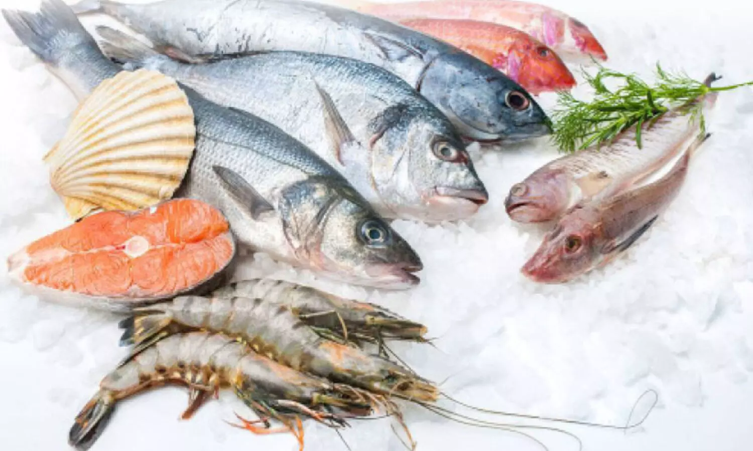 പു​തു​വേ​ലി​യി​ലും രാ​മ​പു​ര​ത്തും മ​ത്സ്യ​ഫെ​ഡി​ന്‍റെ ഹൈ​ടെ​ക് ഫി​ഷ്​ മാ​ർ​ട്ടു​ക​ൾ