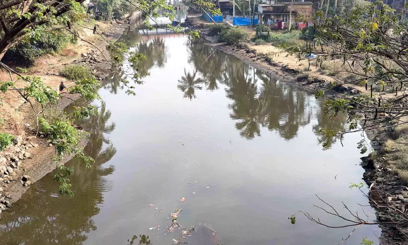 കനോലി കനാലിലെ നവീകരണം നിലച്ചിട്ട് മൂന്ന് വർഷം കനോലി കനാലിലെ നവീകരണം നിലച്ചിട്ട് മൂന്ന് വർഷം