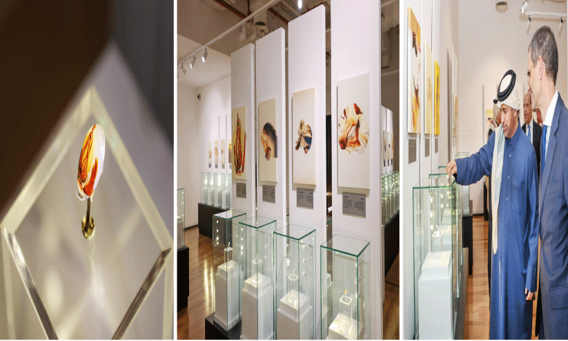 പ്രപഞ്ചരഹസ്യങ്ങളിലേക്കൊരു അപൂർവ പ്രദർശനം പ്രപഞ്ചരഹസ്യങ്ങളിലേക്കൊരു അപൂർവ പ്രദർശനം