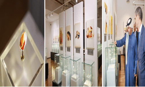 പ്ര​പ​ഞ്ച​ര​ഹ​സ്യ​ങ്ങ​ളി​ലേ​ക്കൊ​രു അ​പൂ​ർ​വ പ്ര​ദ​ർ​ശ​നം