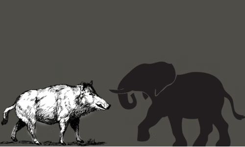 നാ​ട് കീ​ഴ​ട​ക്കി വ​ന്യ​മൃ​ഗ​ങ്ങ​ൾ; ജീ​വി​ക്കാ​നാ​കാ​തെ നാ​ട്ടി​ലു​ള്ള​വ​ർ