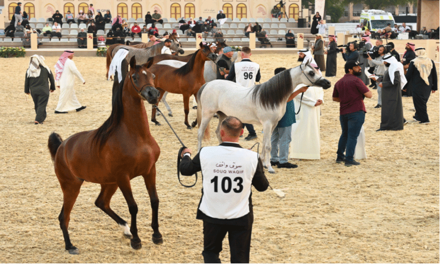 സൂ​ഖി​ൽ കു​തി​രോ​ത്സ​വം