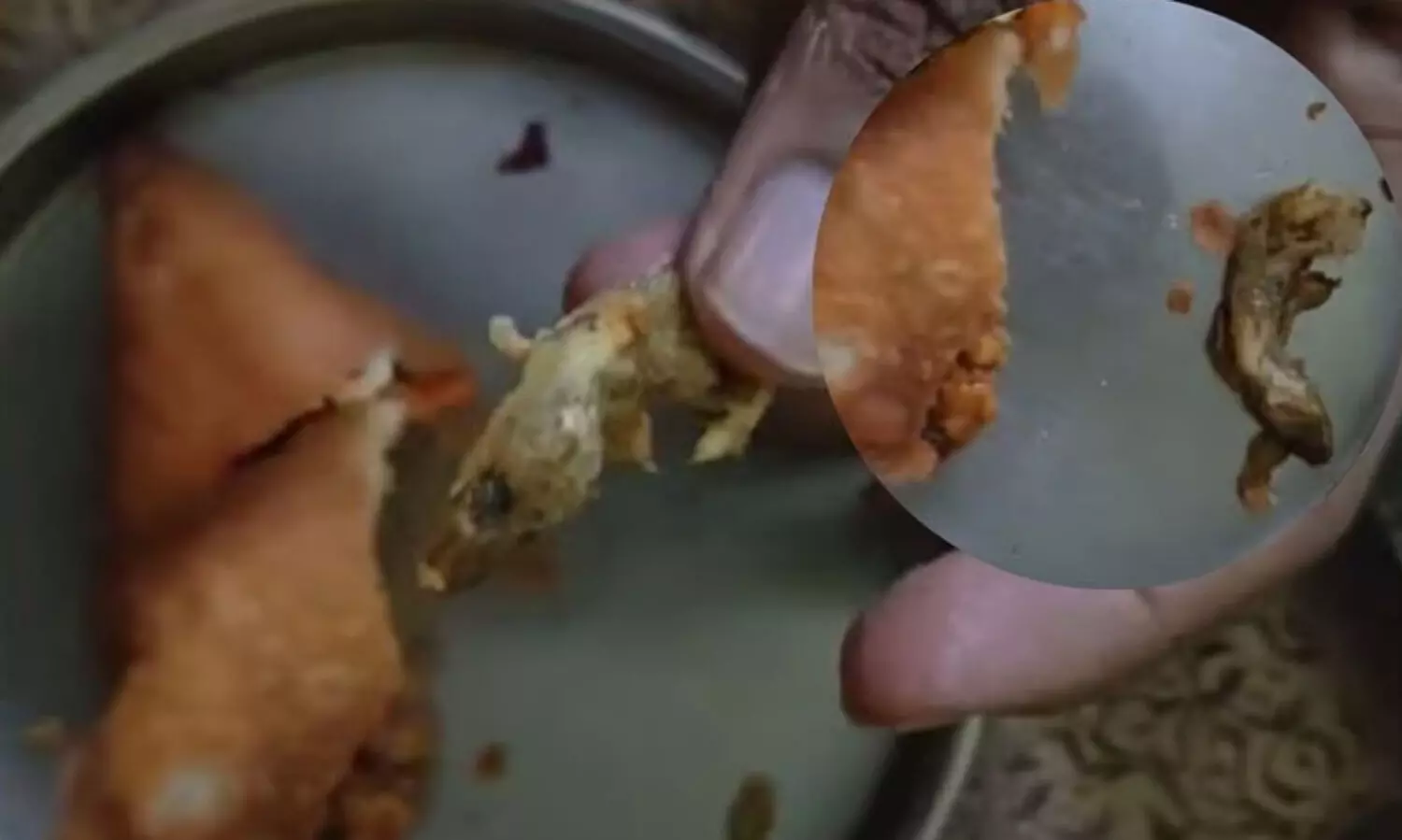 പാർസൽ വാങ്ങിയ സമൂസയില്‍ പല്ലി; ഇരിങ്ങാലക്കുട ബസ് സ്റ്റാൻഡിലെ കടയിൽ പരിശോധന