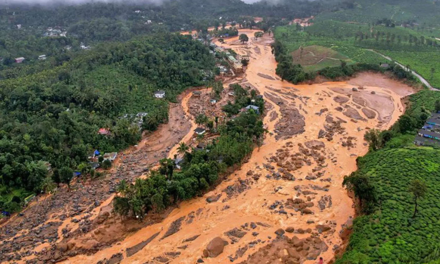 വയനാട്​ ദുരന്തം: വായ്​പ എഴുതിത്തള്ളലിൽ കേന്ദ്ര നിലപാട്​ വീണ്ടും തേടി