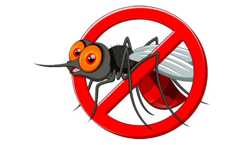 കൊതുകുശല്യത്തിൽ വലഞ്ഞ് നാട്