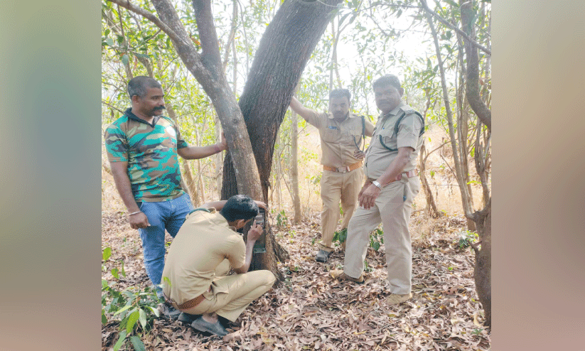 പുലിയെ കണ്ട രണ്ടിടത്ത് കാമറ ട്രാപ്