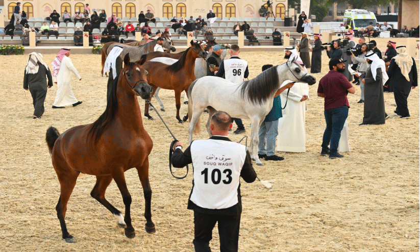 സൂഖിൽ കുതിരോത്സവം സൂഖിൽ കുതിരോത്സവം