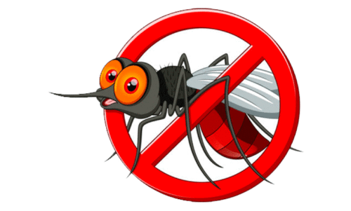 കൊതുകുശല്യത്തിൽ വലഞ്ഞ് നാട്