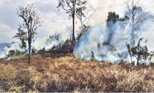 ആറളം ഫാം പുനരധിവാസ മേഖലയിൽ തീപിടിത്തം