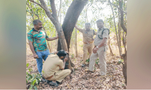 പുലിയെ കണ്ട രണ്ടിടത്ത് കാമറ ട്രാപ്
