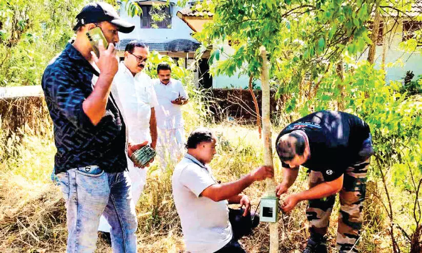 കൂ​ട്ടാ​യി​യി​ല്‍ പു​ലി​യെ ക​ണ്ട സ്ഥ​ല​ത്ത് നി​രീ​ക്ഷ​ണ കാ​മ​റ സ്ഥാ​പി​ച്ചു