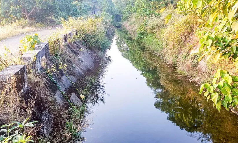വെള്ളത്തിനായി കാത്തിരിപ്പ്​; വലതുകര കനാല്‍ തുറക്കുന്നത് നീളുന്നു
