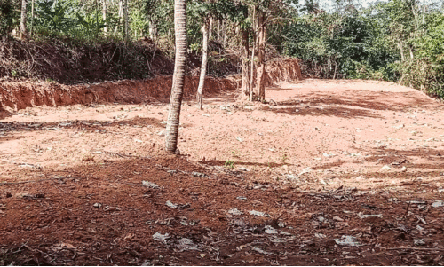 ഇത്തിക്കരയാർ തീരത്ത്​ വൻതോതിൽ കൈയേറ്റം; ചെറുവിരലനക്കാതെ വകുപ്പുകൾ