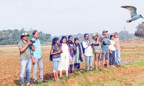 ഏഷ്യന്‍ നീര്‍പക്ഷി കണക്കെടുപ്പ്; പക്ഷികളുടെ എണ്ണത്തിൽ വർധന