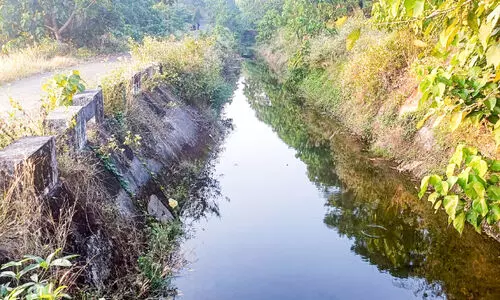വെള്ളത്തിനായി കാത്തിരിപ്പ്​; വലതുകര കനാല്‍ തുറക്കുന്നത് നീളുന്നു