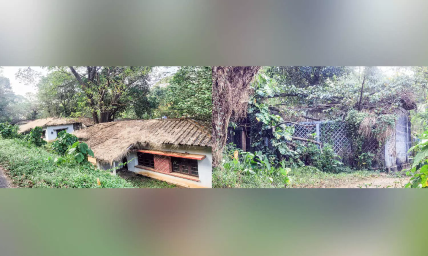 ആരോരുമില്ല; ഒഴിഞ്ഞ്​ കിടക്കുന്നത് 138 ക്വാർട്ടേഴ്സുകൾ