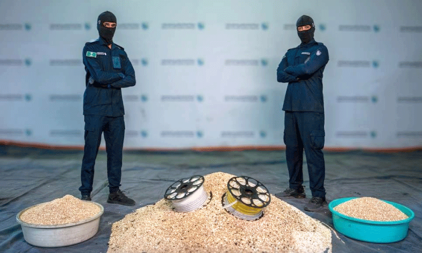 എൽ.ഇ.ഡി ലൈറ്റുകളുടെ മറവിൽ കടത്തിയ 30 ലക്ഷം ലഹരി ഗുളികകൾ പിടികൂടി എൽ.ഇ.ഡി ലൈറ്റുകളുടെ മറവിൽ കടത്തിയ 30 ലക്ഷം ലഹരി ഗുളികകൾ പിടികൂടി