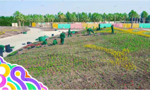 15ാമ​ത് പു​ഷ്‌​പോ​ത്സ​വ​ത്തെ വ​ര​വേ​ൽ​ക്കാ​നൊ​രു​ങ്ങി യാം​ബു