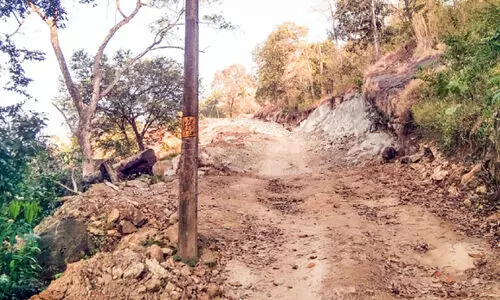 വകുപ്പുകൾ തമ്മിൽ തർക്കം; സഞ്ചാര സ്വാതന്ത്ര്യം നഷ്ടപ്പെട്ട് വട്ടത്തൊട്ടി, നാരങ്ങാനം