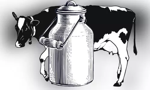 പാല്‍ ഉല്‍പാദനം കുറയുന്നു; ഒരു വർഷത്തിനിടെ 3.26 ലക്ഷം ലിറ്ററിന്‍റെ കുറവ്