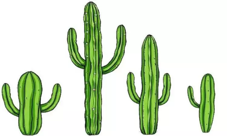 മുസിരിസ് സ്കെച്ചുകള്‍