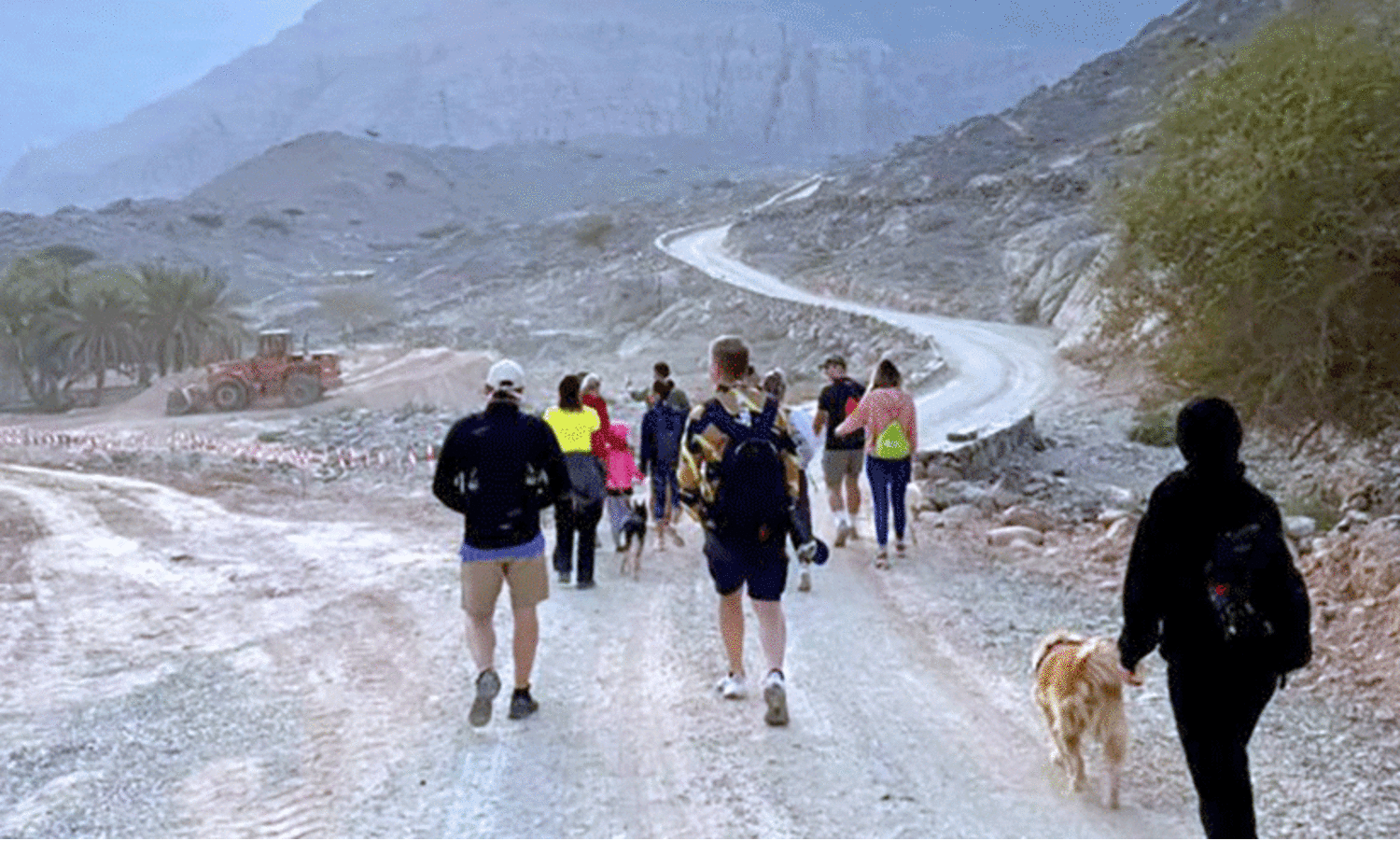 ഹി​റ്റാ​യി ഡോ​ഗ്​​സ്​ ഡേ ​ഔ​ട്ട്