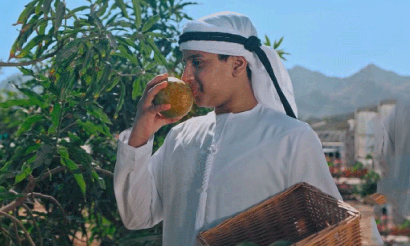 ര​ണ്ടാ​മ​ത്​ ഹ​ത്ത ഫാ​മി​ങ്​ ഫെ​സ്റ്റി​വ​ലി​ന്​ തു​ട​ക്കം