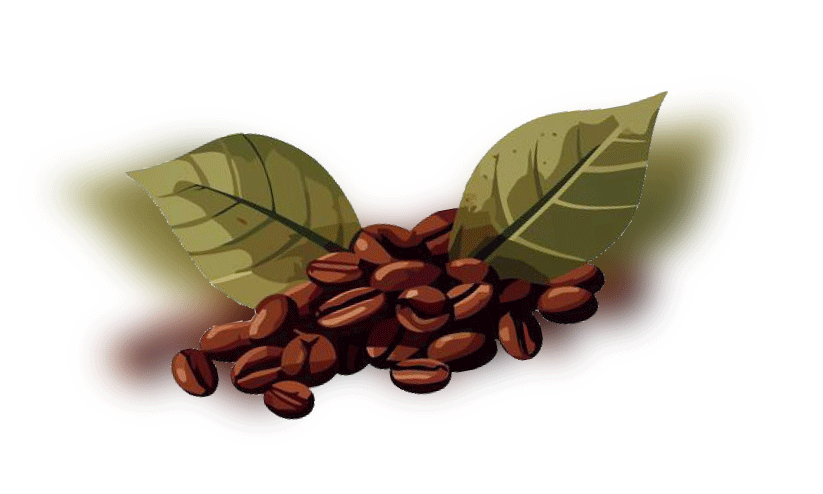 കാ​പ്പി​ക്ക് അ​ജ്ഞാ​ത രോ​ഗം; ആ​ശ​ങ്ക​യി​ലാ​യി ക​ർ​ഷ​ക​ൻ