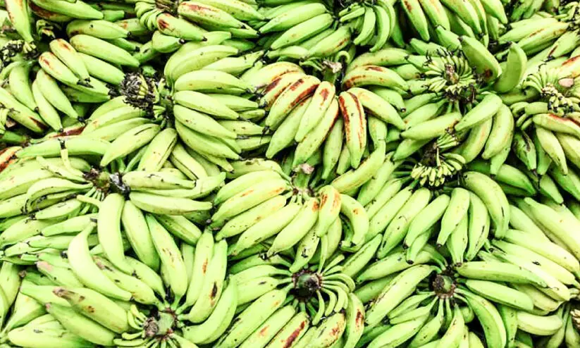 നേന്ത്രക്കായ​ വില വർധന; കർഷകർക്ക്​ ആശ്വാസം