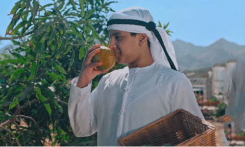 ര​ണ്ടാ​മ​ത്​ ഹ​ത്ത ഫാ​മി​ങ്​ ഫെ​സ്റ്റി​വ​ലി​ന്​ തു​ട​ക്കം