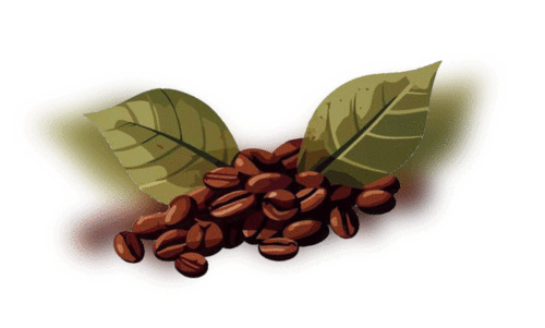 കാ​പ്പി​ക്ക് അ​ജ്ഞാ​ത രോ​ഗം; ആ​ശ​ങ്ക​യി​ലാ​യി ക​ർ​ഷ​ക​ൻ