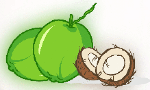 നാളികേരവില; റെക്കോഡ് കുതിപ്പിലും കർഷകർക്ക് നിരാശ