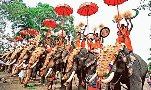 ആനയെഴുന്നള്ളിപ്പ്: മാനദണ്ഡങ്ങള്‍ പുറത്തിറക്കി