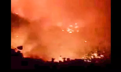 കത്തിയമർന്ന്​ കണ്ടാളന്തറ മല