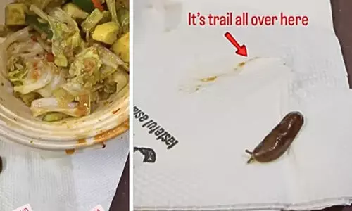 ഓൺലൈൻ വഴി ഓർഡർ ചെയ്ത ഭക്ഷണത്തിൽ ജീവനുള്ള ഒച്ച്; സംഭവം ഹൈദരാബാദിൽ