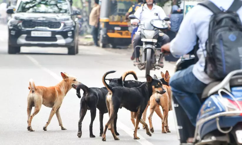പട്ടി ഉണ്ട്, സൂക്ഷിക്കുക; ഇത് ആലപ്പുഴ റെയിൽവേ സ്റ്റേഷൻ പട്ടി ഉണ്ട്, സൂക്ഷിക്കുക; ഇത് ആലപ്പുഴ റെയിൽവേ സ്റ്റേഷൻ
