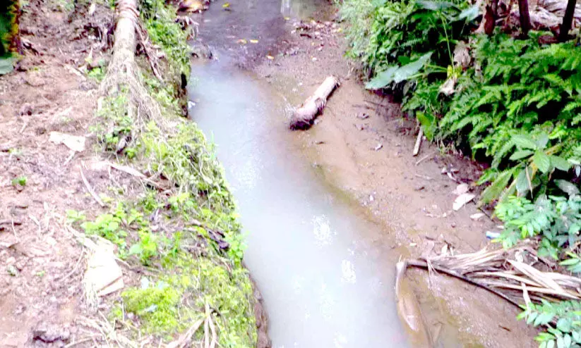 കൊല്ലരുത് ഈ തോടിനെ...