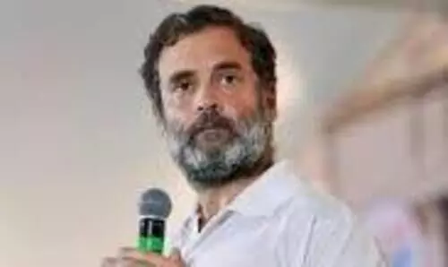 രാഹുലിന്റെ പൗരത്വം റദ്ദാക്കൽ: നിവേദനം പരിഗണനയിലെന്ന് കേന്ദ്ര സർക്കാർ