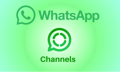 Whatsapp Channel