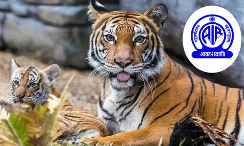 All India Radio expands role in Madhya Pradesh warns villagers about elephant tiger leopard movements